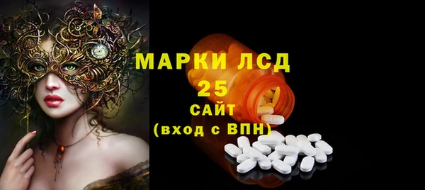 ГАЛЛЮЦИНОГЕННЫЕ ГРИБЫ Абаза