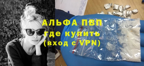 ГАЛЛЮЦИНОГЕННЫЕ ГРИБЫ Абаза