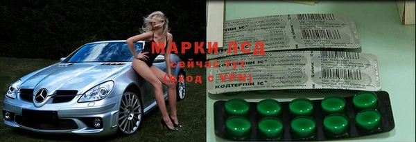 ГАЛЛЮЦИНОГЕННЫЕ ГРИБЫ Абаза