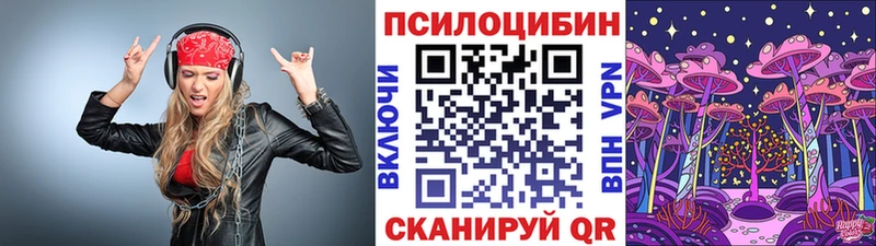 shop какой сайт  Россошь  Псилоцибиновые грибы GOLDEN TEACHER 